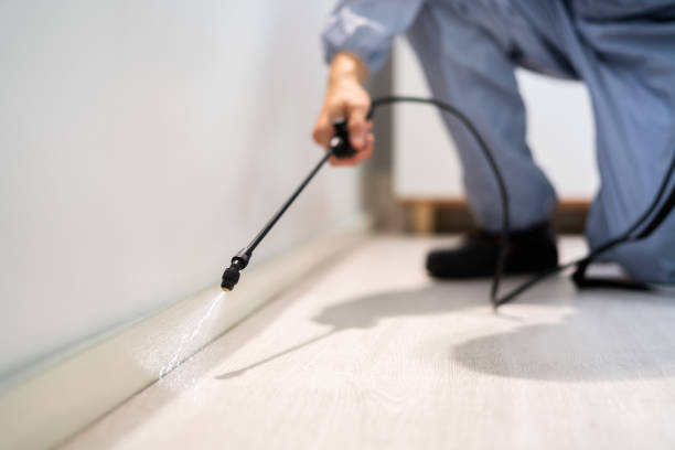 Licensed Pest Control service in Barbourville, KY - Show Me Pest Control