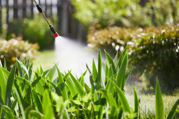 24/7 Emergency Mosquito Control experts in Barbourville, KY